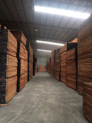 新貨到，雙發(fā)到新貨有紅玫瑰，黃玫瑰，紅花梨，紅紅火火，歡迎訂貨