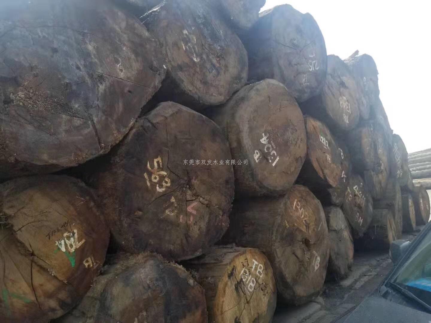 迎7月家具展，雙發(fā)木業(yè)原木加工進(jìn)行中。。