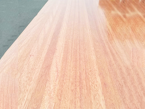 海棠木是一種什么木？